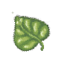 a leaf